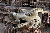 Orissa - Konarak - The Sun Temple. The Mayadevi temple, water spout