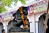 Orissa - Jagannath temple at Koraput 