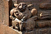 Orissa - Bhubaneshwar. Mukteswara temple, simha virala carved in the corner at the base of the temple. 