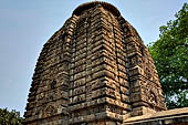 Orissa - Bhubaneswar. Parsurameswar Temple, the deul.  