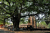 Orissa - Bhubaneswar. Parsurameswar Temple, general view. 