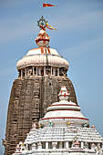 Orissa - Puri. Jagannatha Temple. The deul and the white plastered piramidal roofs of the jagamohana and of the nata and bogha-mandapa.  