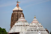 Orissa - Puri. Jagannatha Temple. The deul and the white plastered piramidal roofs of the jagamohana and of the nata and bogha-mandapa.  