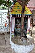 Orissa - Puri, around the holy tank called Narendra Sagar. 