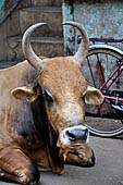 Orissa - Puri, walking from Jagannatha to the beach. 