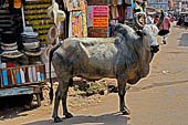 Orissa - Puri, walking from Jagannatha to the beach. 