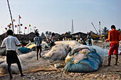 Orissa - Puri, the fishing village. 