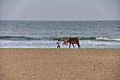 Orissa - Puri, the beach around sunset fills up with tourists and families. 