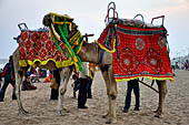 Orissa - Puri, the beach around sunset fills up with tourists and families. 