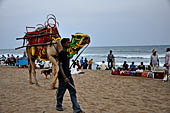 Orissa - Puri, the beach around sunset fills up with tourists and families. 