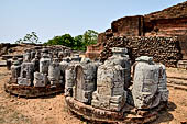 Ratnagiri - Stupa n 1, at the top of the hill, surrounded by a large number of small monolithic stupas loose on the ground.