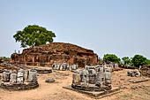 Ratnagiri - the stupa at the top of the hill, surrounded by a large number of small stupas loose on the ground.