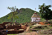 Udayagiri - Udayagiri II excavations. Hindu Temple. 