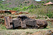 Udayagiri - Udayagiri II excavations. 