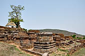 Udayagiri - Udayagiri II excavations. Chaitya remains. 