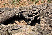 Udayagiri - Udayagiri II excavations. Detail of the four-armed Avalokitesvara statue in the field near the Monastery n 2. 