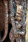 Udayagiri - Loose sculptures at the entrance of the site. 