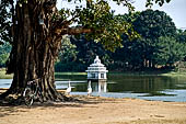 Orissa - The village of Hirapur. Water tank with a small temple in the middle. 