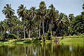 Orissa - Village visited along the road from Bhubaneswar to Puri. Water tank. 