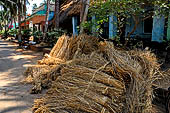 Orissa - Village life, along the road from Bhubaneswar to Puri. 