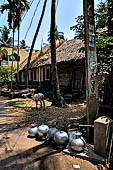 Orissa - Village life, along the road from Bhubaneswar to Puri. 