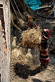 Orissa - life scene taken in a village near Raghurajpur. 