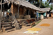 Orissa - village near Raghurajpur. Houses are usually lined at the sides of the village only road. 