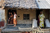 Orissa - traditional Brahmin villages near Puri. Houses are usually lined at the sides of the village only road. 