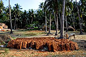 Orissa - traditional Brahmin villages near Puri. Laterite blocks left to dry. 