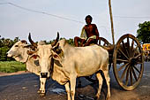 Orissa - along the road to Puri. 