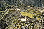 Machu Picchu ruins urban sector, terraces