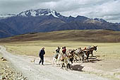 Peru stock photographs