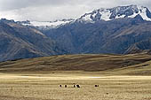 Urubamba Valley Peru Stock pictures