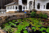 Dambulla cave temples