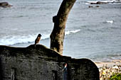 Galle - Hospital Street.