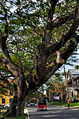 Galle - The Open Air Theatre area.