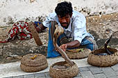 Galle - Snake charmer.