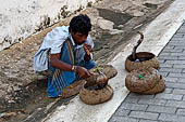 Galle - Snake charmer.