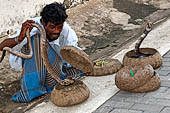 Galle - Snake charmer.