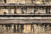 Polonnaruwa - the Citadel, the Council Chamber. Friezes of the platform with dwarfs, lions and galumphing elephants.