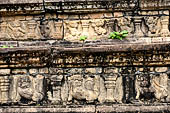 Polonnaruwa - the Citadel, the Council Chamber. Friezes of the platform with dwarfs, lions and galumphing elephants.