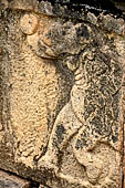 Polonnaruwa - the Citadel, the Council Chamber. Friezes of the platform with dwarfs, lions and galumphing elephants.