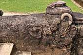 Polonnaruwa - the Citadel, the Council Chamber. Detail of the makara balustrades of the stairways.