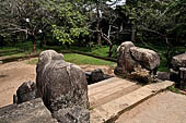 Polonnaruwa - the Citadel, the Council Chamber. Detail of the lions at the top of the stairway.