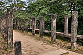 Polonnaruwa - the Citadel, the Council Chamber. The columns of the platform are inscribed with the king's councillors names.