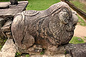 Polonnaruwa - the Citadel, the Council Chamber. Detail of the lions at the top of the stairway.