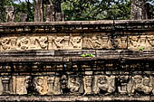 Polonnaruwa - the Citadel, the Council Chamber. Friezes of the platform with dwarfs, lions and galumphing elephants.