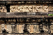 Polonnaruwa - the Citadel, the Council Chamber. Friezes of the platform with dwarfs, lions and galumphing elephants.