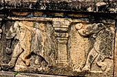 Polonnaruwa - the Citadel, the Council Chamber. Friezes of the platform with dwarfs, lions and galumphing elephants.