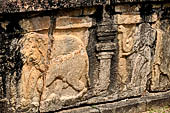 Polonnaruwa - the Citadel, the Council Chamber. Friezes of the platform with dwarfs, lions and galumphing elephants.